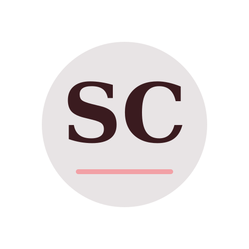 Sara Chimney Services logo